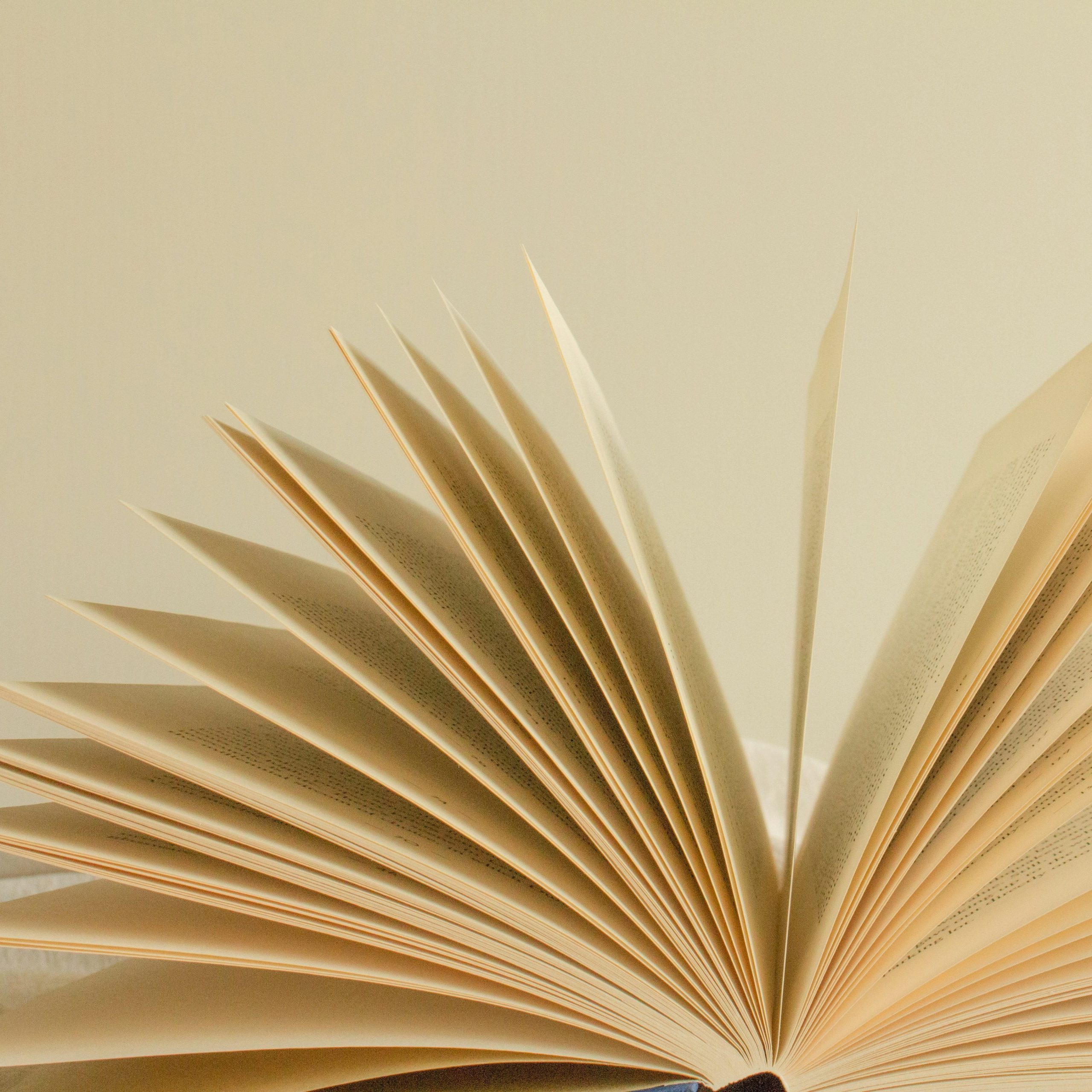 Read books instead of solely using AI.